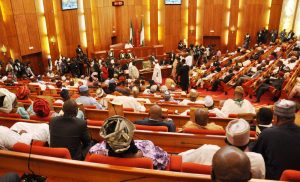 Senate rejects proposed sale of national Assets