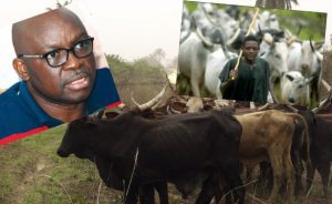 miyetti-allah-and-fayose-tvc