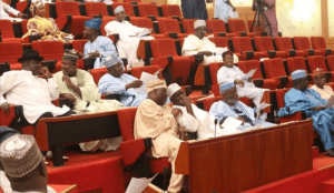 nigeria-senate