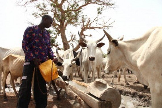 Osun Police hold meeting with herdsmen