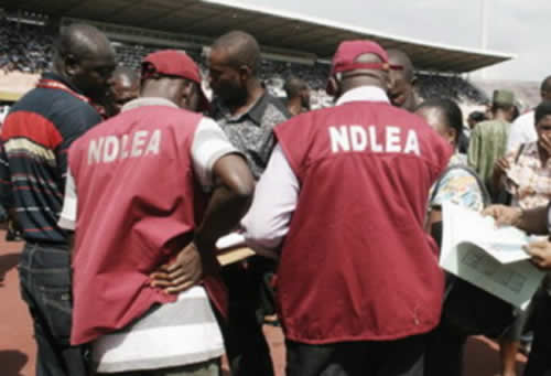 NDLEA intercepts illicit drugs in Sokoto
