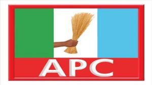 APC-Logo
