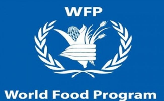 192,300 Nigerian children benefit from WFP Programme – Official