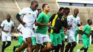 Zim players
