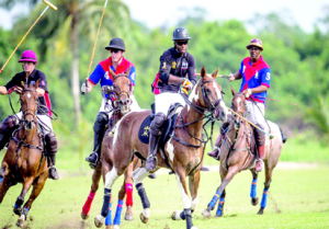 Polo (1)