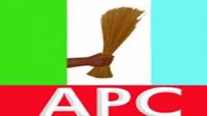 apc-logo-TVC