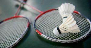 Nigeria-Para-Badminton-Federation-620×330