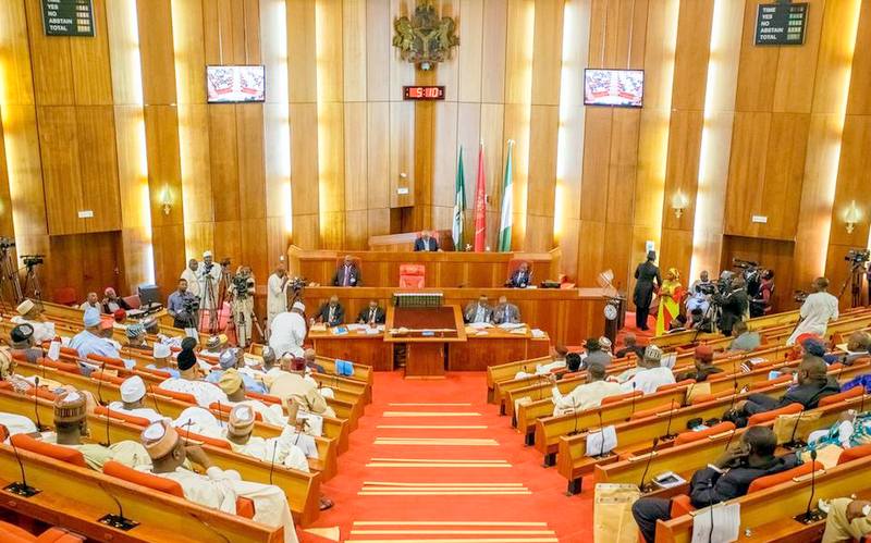 Amnesty beneficiaries: Senate set to investigate inclusion of fictitious names