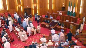 National Assembly Passes 2017 Budget