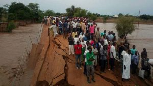 Adamawa-State-bridge
