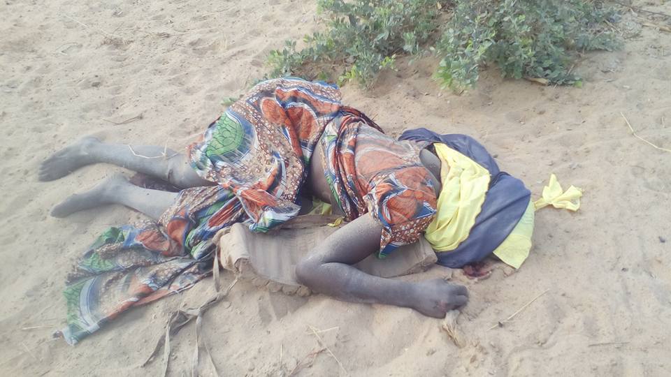Two female suicide bombers killed in Adamawa
