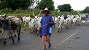 Herdsmen ondo