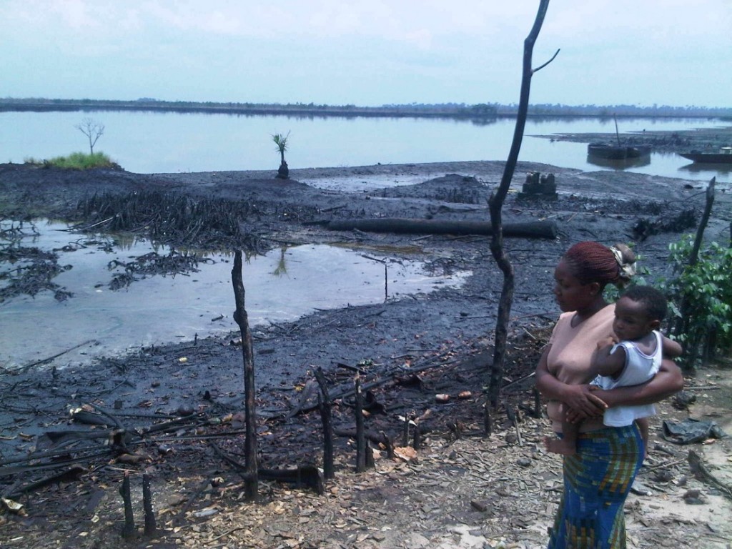 Environmental laws: Rivers activists call for stronger measures in Niger Delta