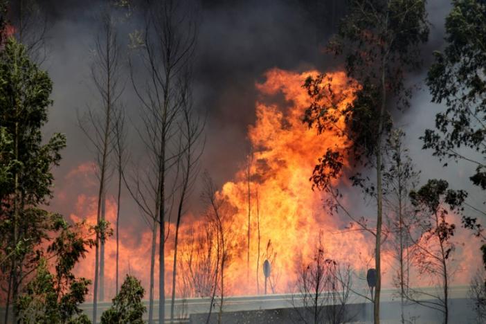 Fire and smoke is seen on the IC8 motorway during a forest fire near Pedrogao Grande