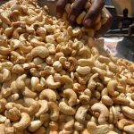 Cashew-Nuts-Nigeria