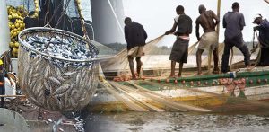 Fishing-West-Africa-TVC
