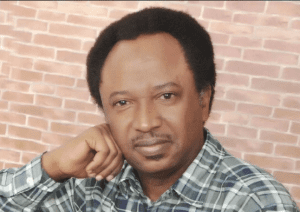 Senator Shehu Sani-tvcnews