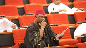 Dino Melaye’s hope dashed as Court insists on recall process