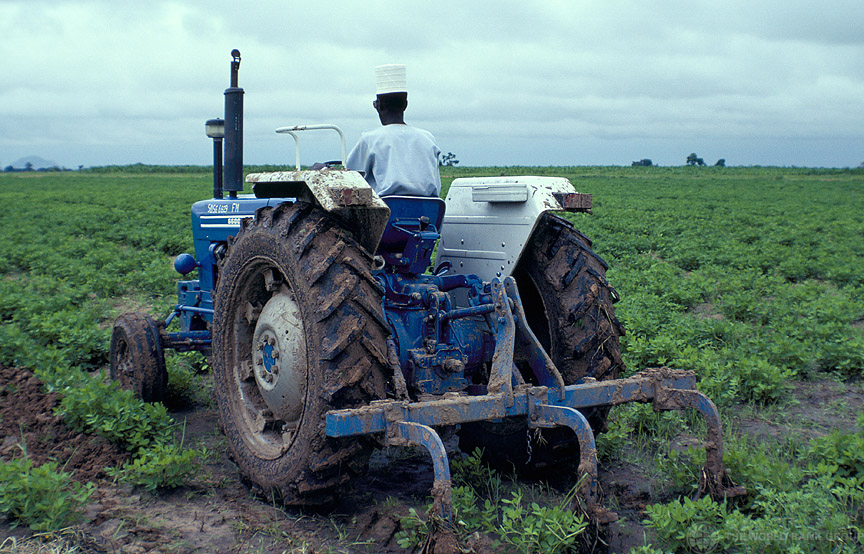 NEPC urges Nigerian farmers to embrace organic farming