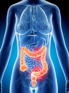 nintchdbpict000322779604