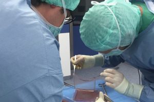 2017_11_08_haut-op-800×533