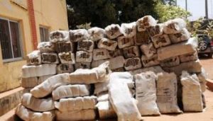 Nigerian Customs intercepts Cannabis contraband in Sokoto