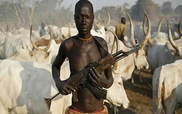 Adamawa SSG supports herdsmen carrying guns