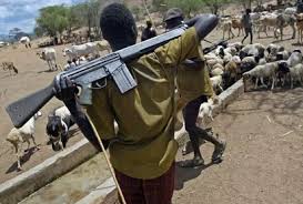 Ekiti to punish carriers of sophisticated weapons