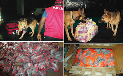 NDLEA calls for regional, multilateral cooperation against drug trafficking