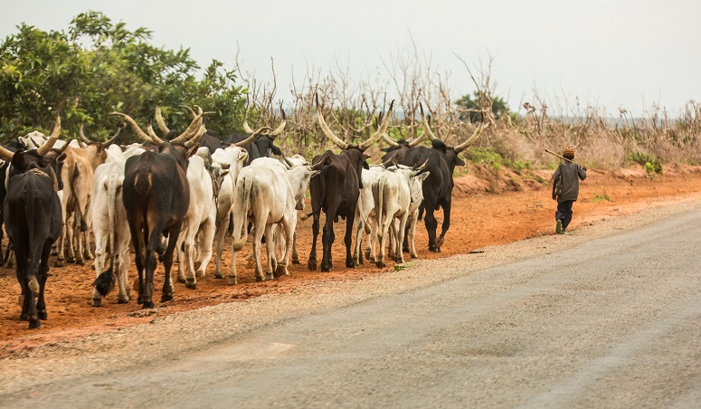Nigeria-Fulani-TVCNews