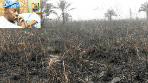 The-burnt-farm-Falae