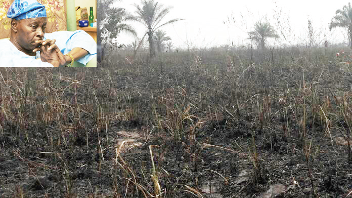 The-burnt-farm-Falae