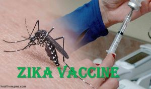 Zika-Vaccine