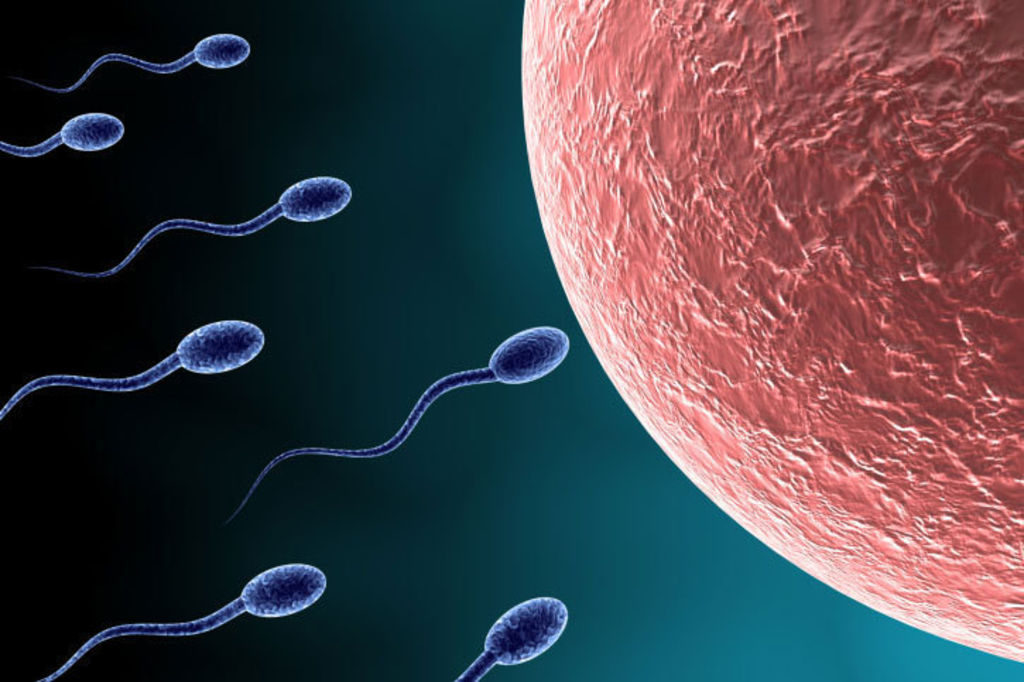 How infertility treatment has left sperm science behind