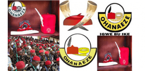 Ohaneze-Ndigbo-Ohanaeze-Ndigbo456-TVCNews
