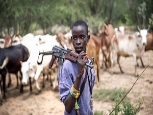 Cattle-herdsman-or-terrorist – Taraba