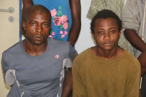 Dino suspects  – TVC