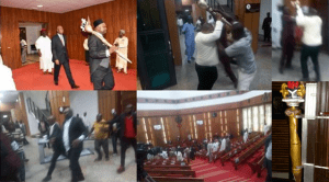 Missing Mace  – TVC