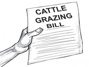 GRAZING-BILL