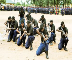 NSCDC Guns