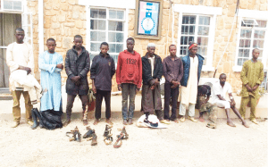 The-suspects-Plateau