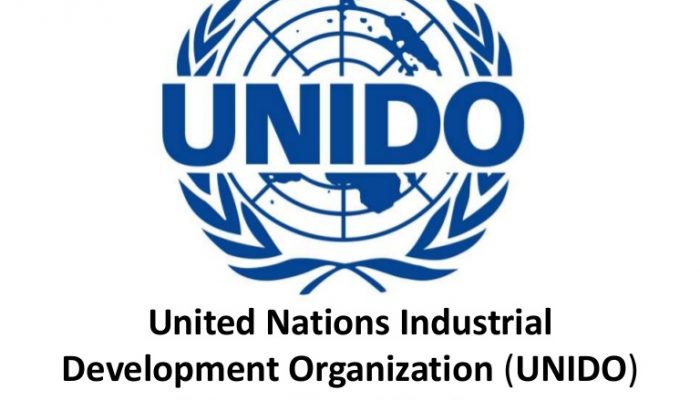 Nigeria to partner Japan, UNIDO to boost growth