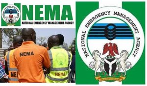 NEMA TVC