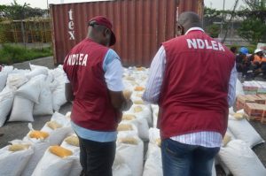 NDLEA Indian hemp