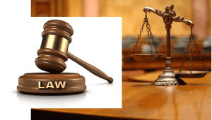 courts-law-legal-system-judiciary-TVCNews