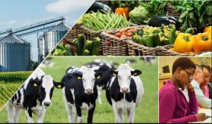 hiujjljjjlklklklkljljjkjhk