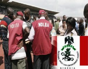NDLEA Drug