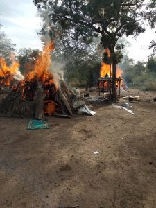 WhatsApp Image 2019-01-23 at 08.36.14