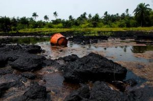 Ogoni clean-up: Leaders express worry over delay in implementation-TVC