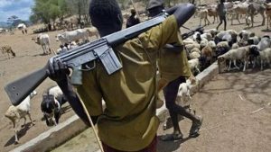 Herdsmen attack